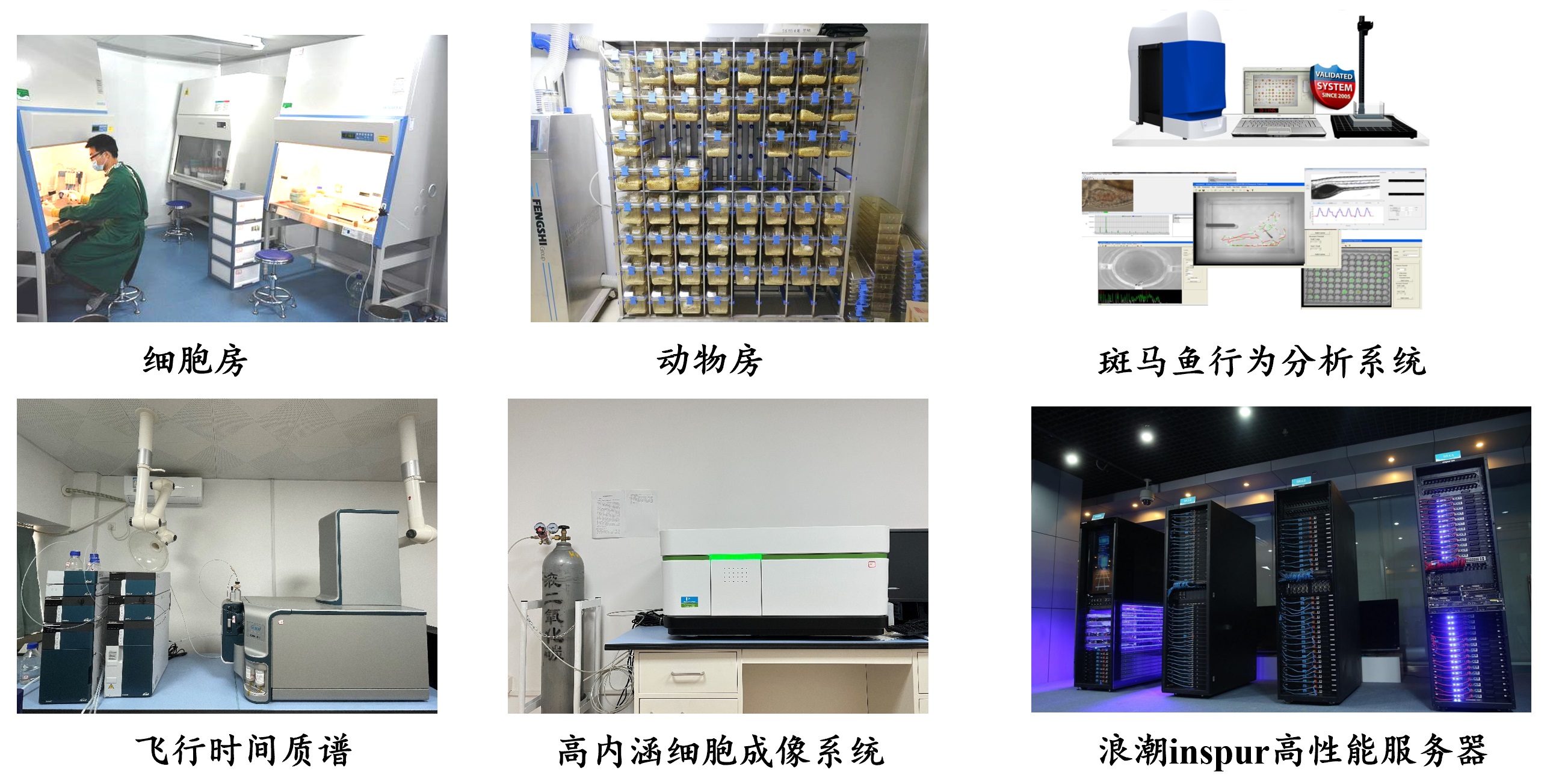 Analytical Instruments